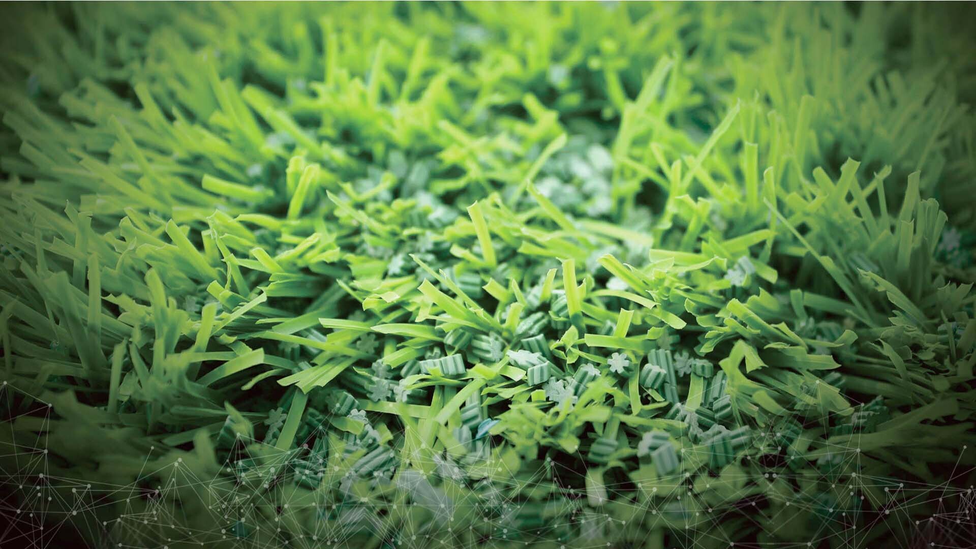 池州足球场人造草坪